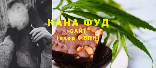 индика Алзамай