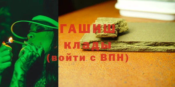 индика Алзамай
