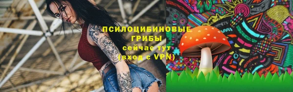 гашиш Переславль-Залесский