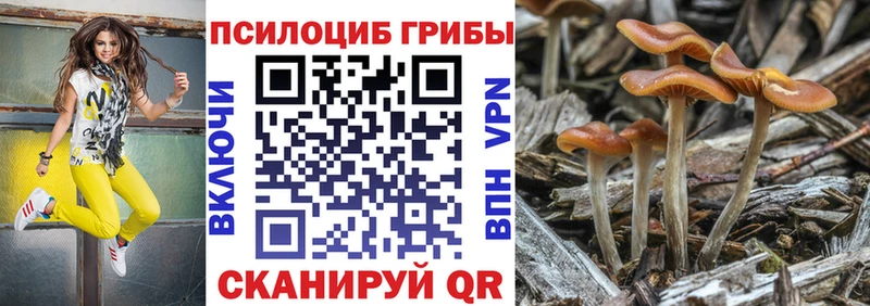 даркнет сайт  KRAKEN ONION  Псилоцибиновые грибы Psilocybe  Туринск 